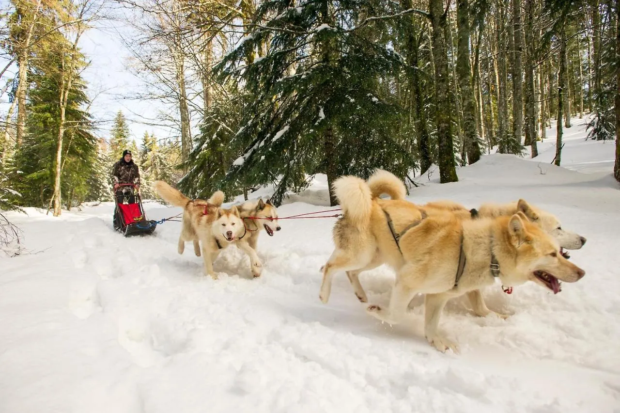 Vvf Les Monts Jura Hotel Lelex