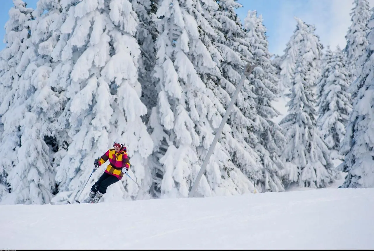 Отель Vvf Les Monts Jura Лелекс
