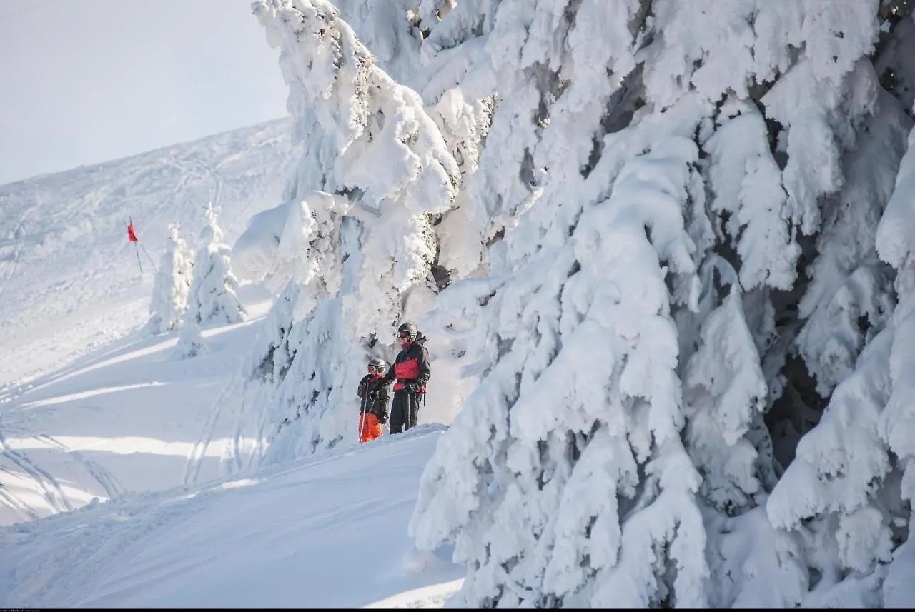 База отдыха Отель Vvf Les Monts Jura Лелекс